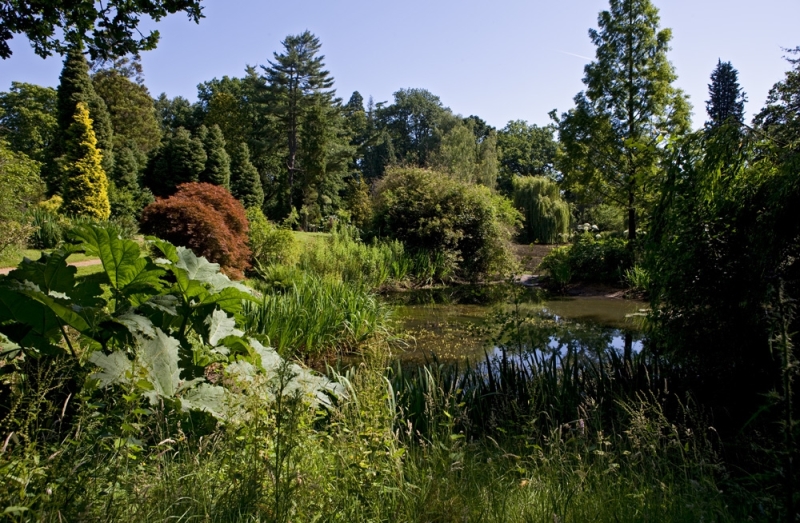 Tylney Hall Hotel